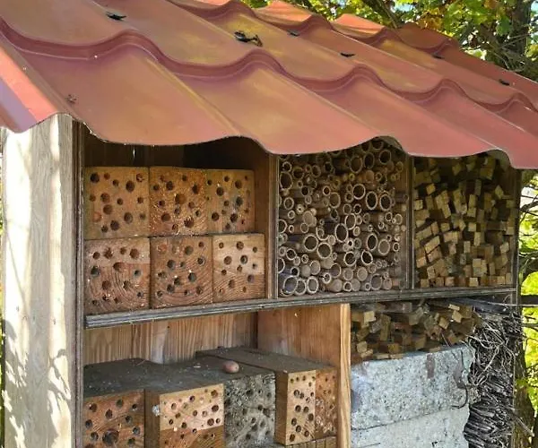 Boven De S L A G E R I J Appartement