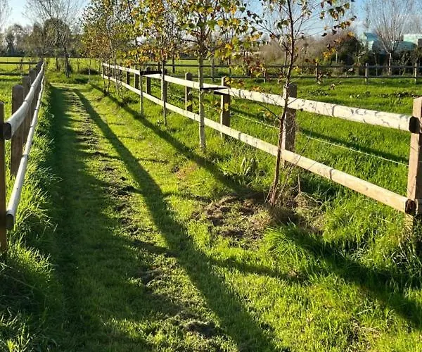 Boven De S L A G E R I J *