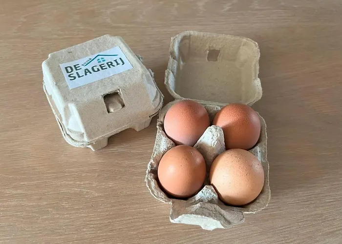 Appartement Boven De S L A G E R I J